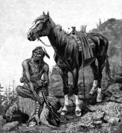 Un indiano col suo cavallo